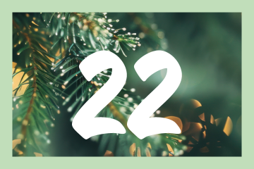 Adventskalender 24 online22