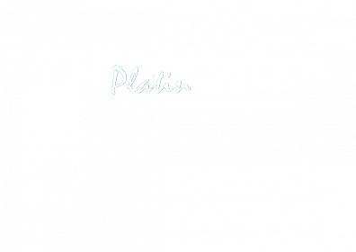 Die Platinschmiede