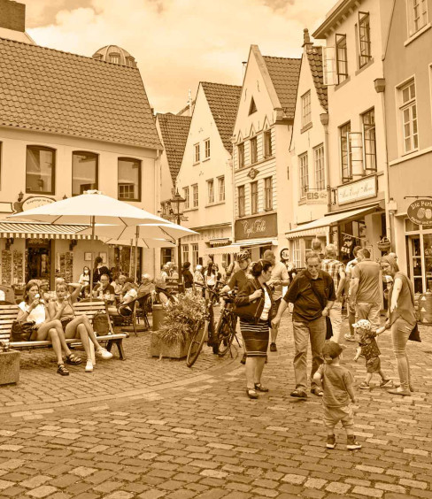 Hoeg Schnoor