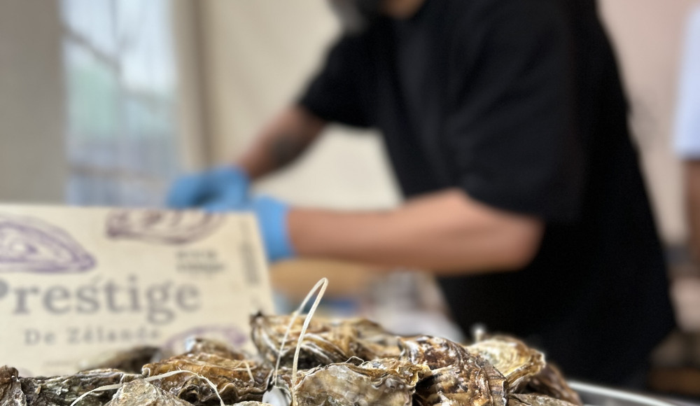 Weinfests Austern GrapeSaltCityInitiative | 