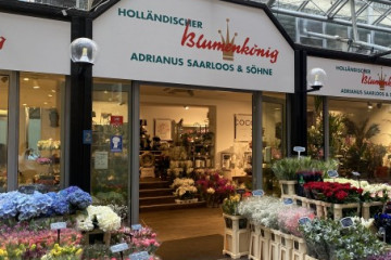 Hollaendischer Blumenkoenig 