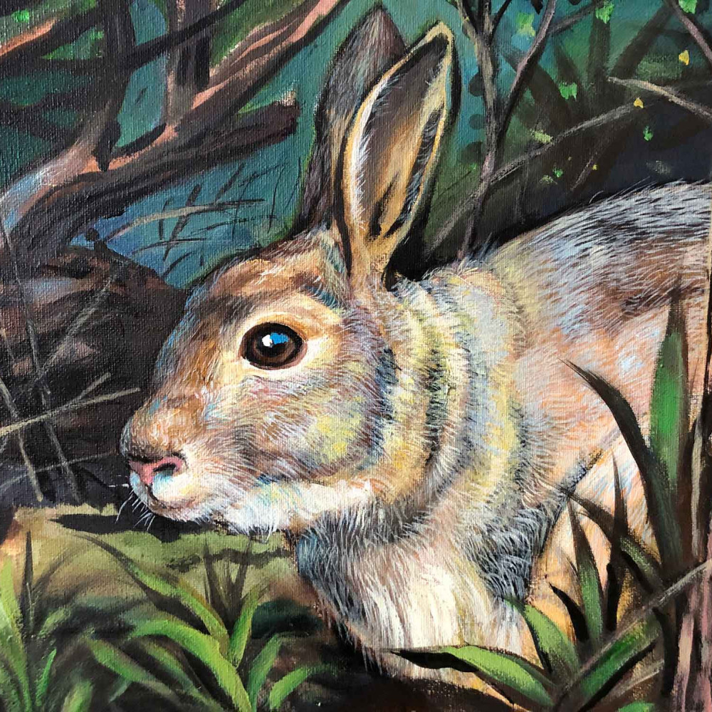 Jinsu DU zwei hasen in der nacht 2 | 